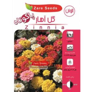بذر گل آهار پا کوتاه