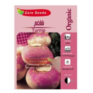 بذر شلغم