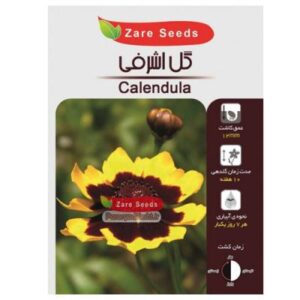 بذر گل اشرفی