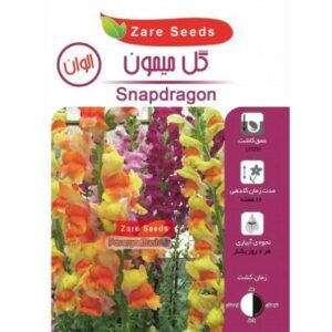 بذر گل میمون