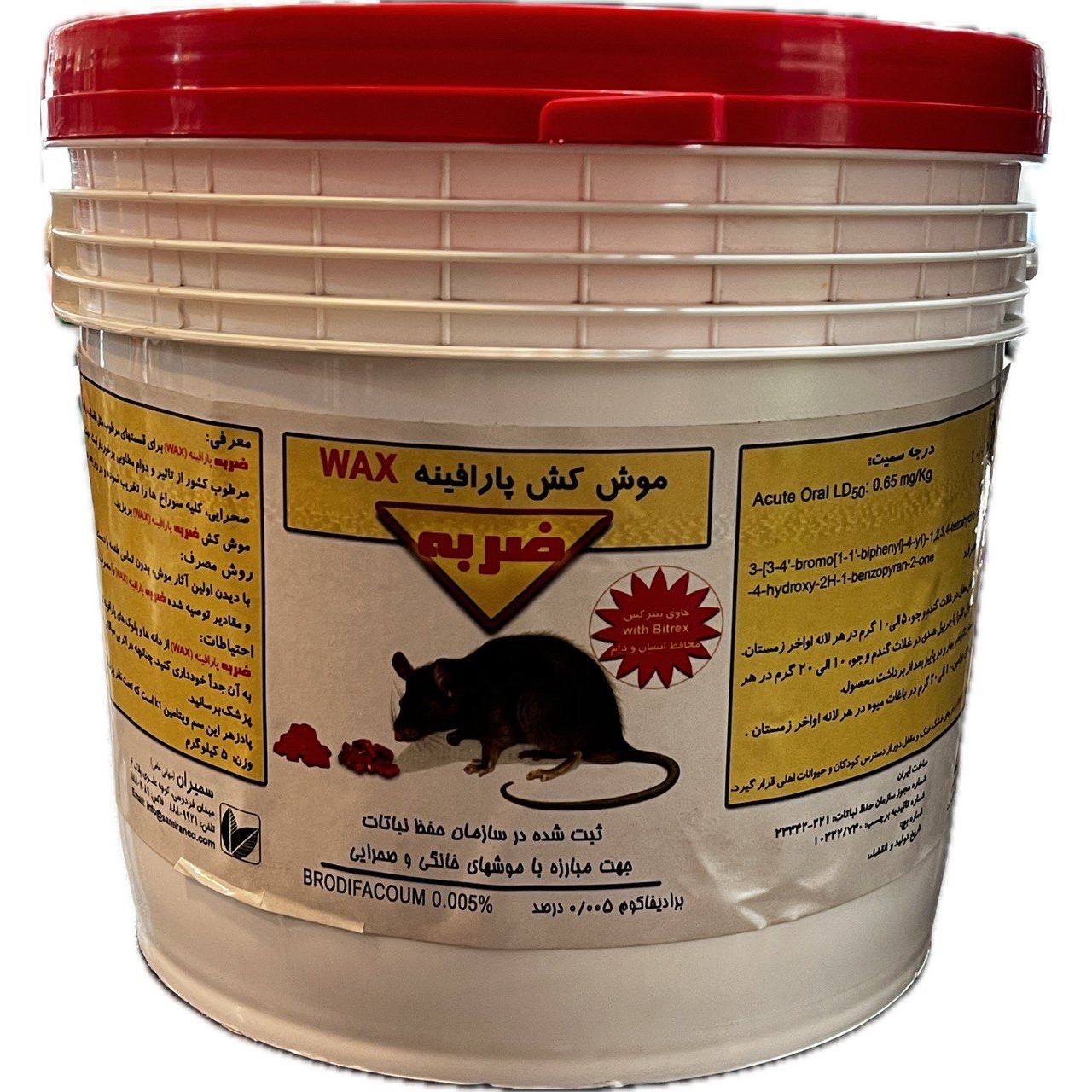 white-photo_2025-11-16_10-30-03